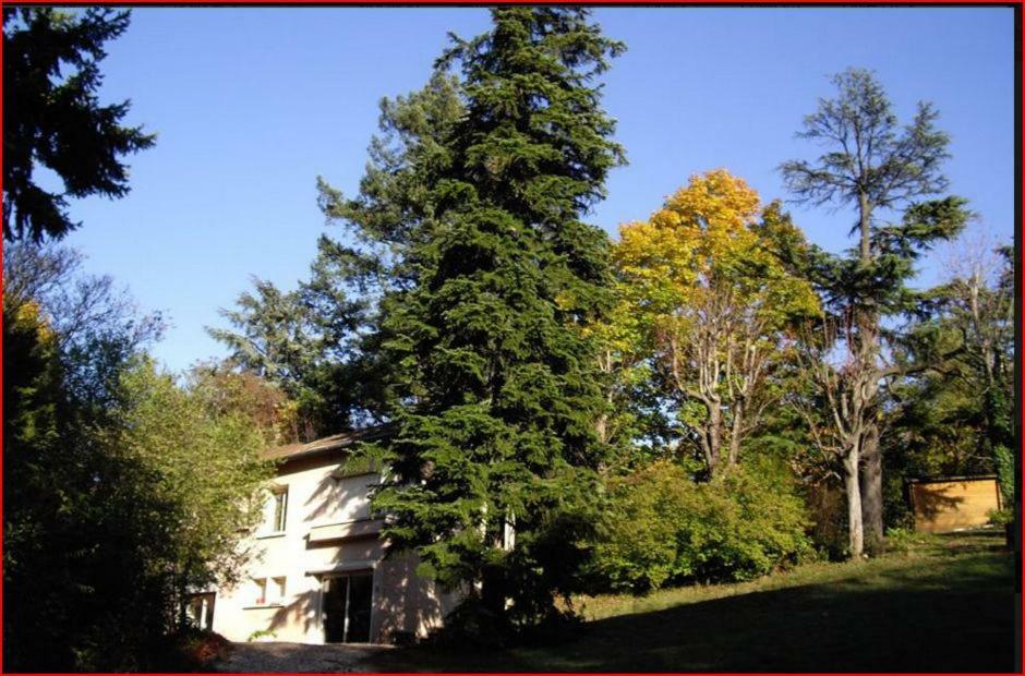 Villa Castel Maison-Table D'Hotes & Jardin-Refuge De Biodiversite Rillieux-la-Pape 외부 사진